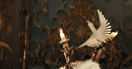 d6a81aa3c4f6381638dab2e6f908bcc4